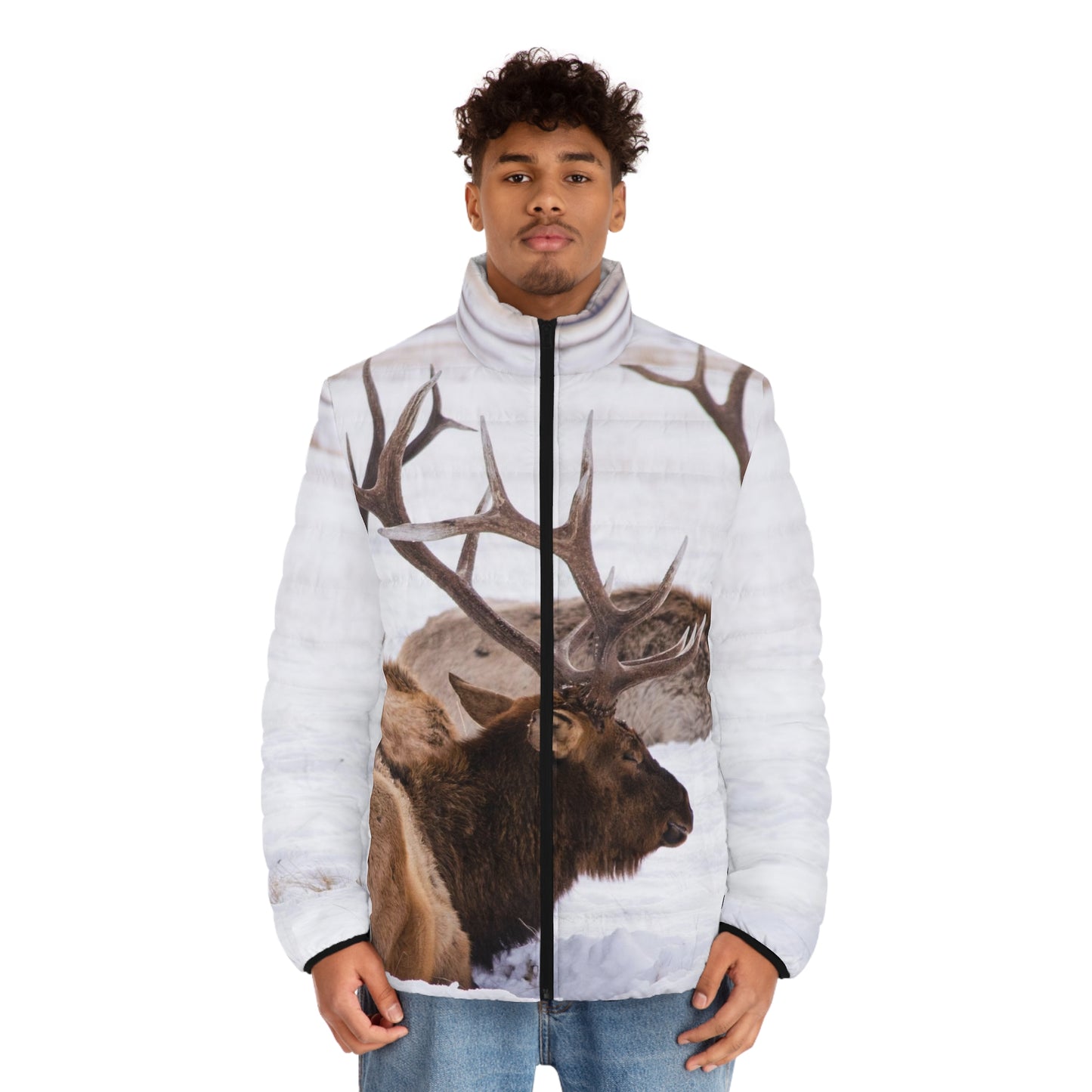 Men's Puffer Jacket (AOP)