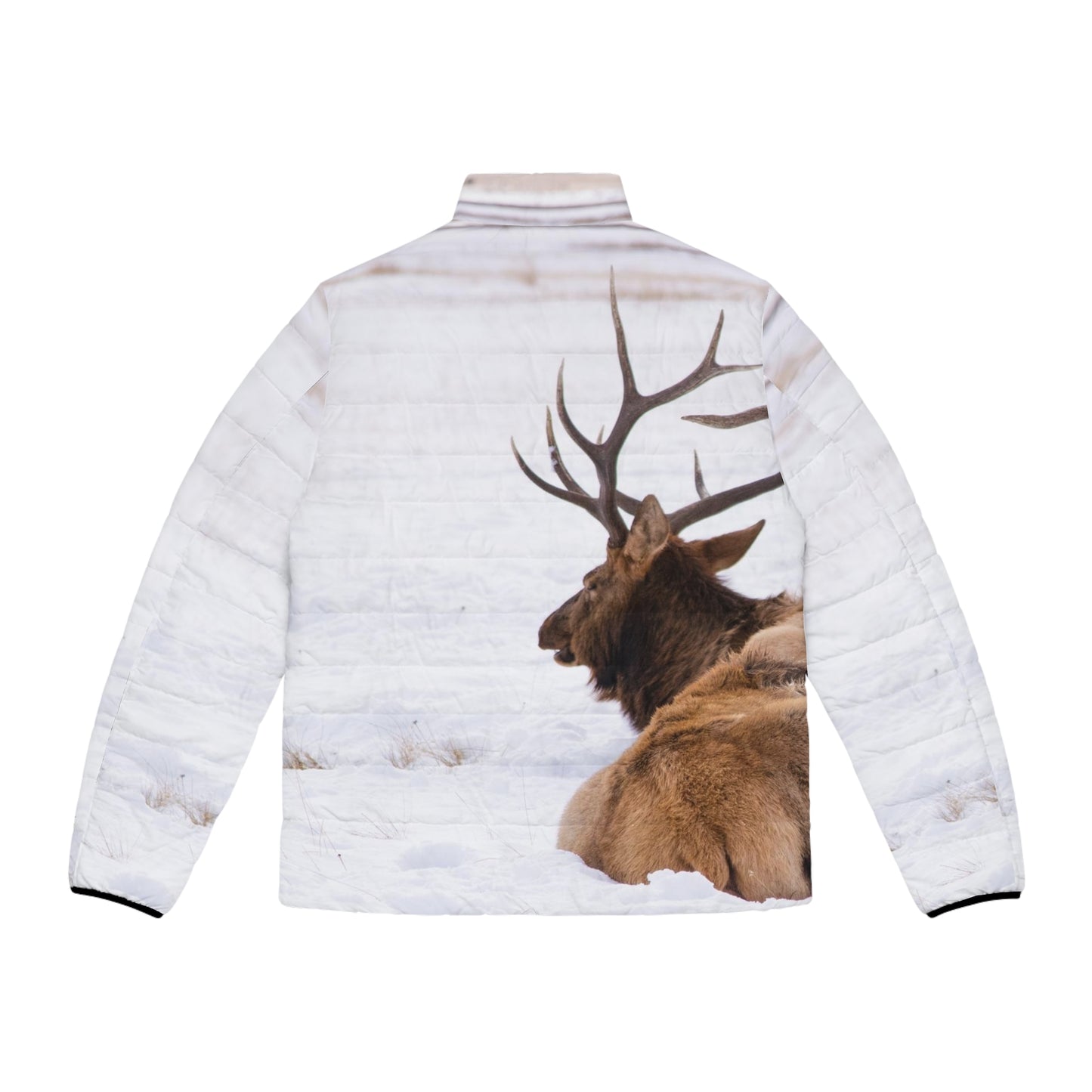 Men's Puffer Jacket (AOP)