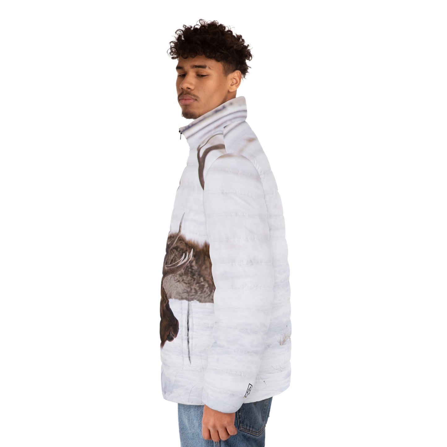 Men's Puffer Jacket (AOP)